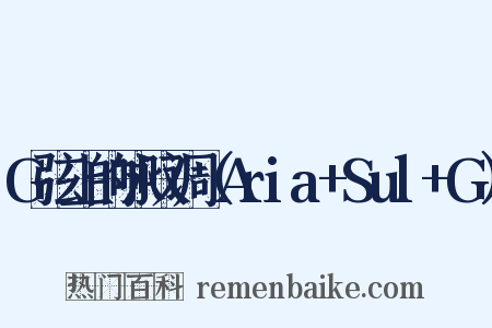 G弦上的咏叹调（Aria+Sul+G）是什么意思的图片